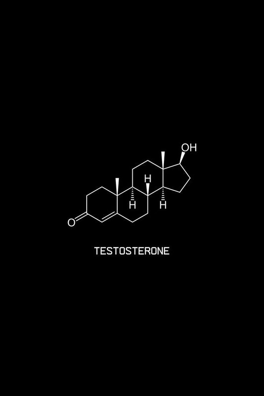 Testosterone Guide